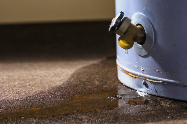 Best 24/7 water damage repair  in Superior, AZ