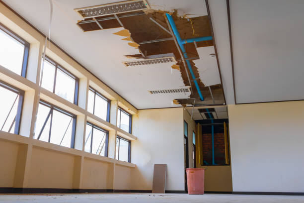 Best Flooded house restoration  in Superior, AZ