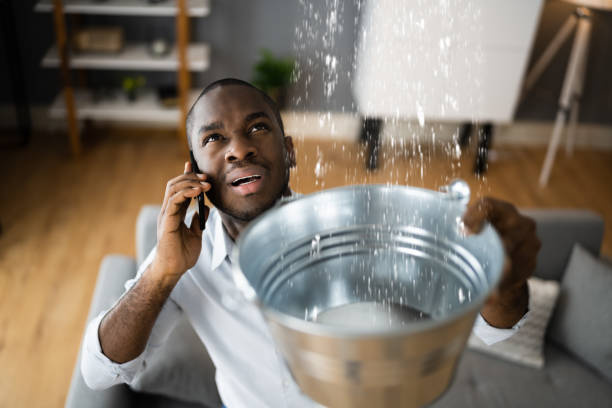 Best Water damage restoration near me  in Superior, AZ