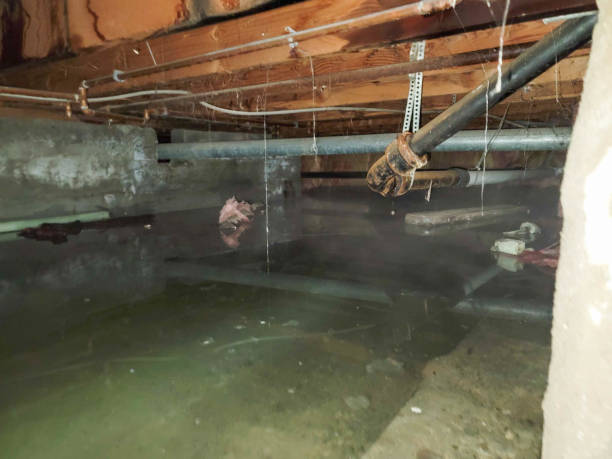 Best Flooded house restoration  in Superior, AZ