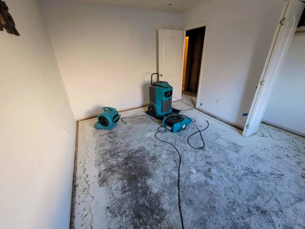 Best Water damage contractors near me  in Superior, AZ
