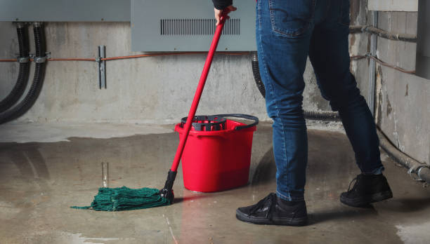 Best Professional water damage repair  in Superior, AZ