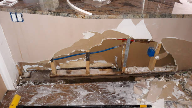 Best Basement water damage restoration  in Superior, AZ