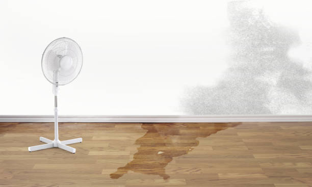 Best Water damage restoration near me  in Superior, AZ