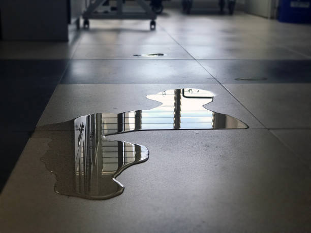 Best Flood restoration services  in Superior, AZ