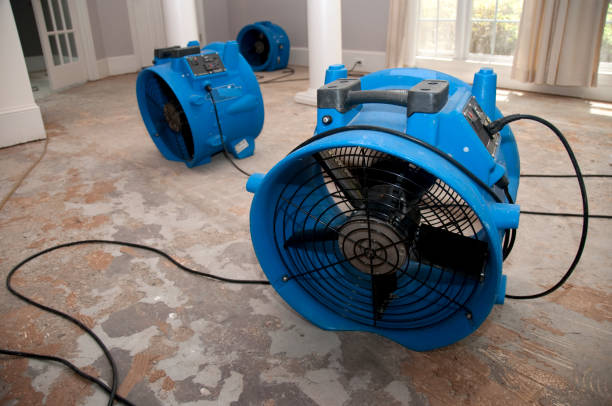 Best Sewage cleanup and water damage restoration  in Superior, AZ