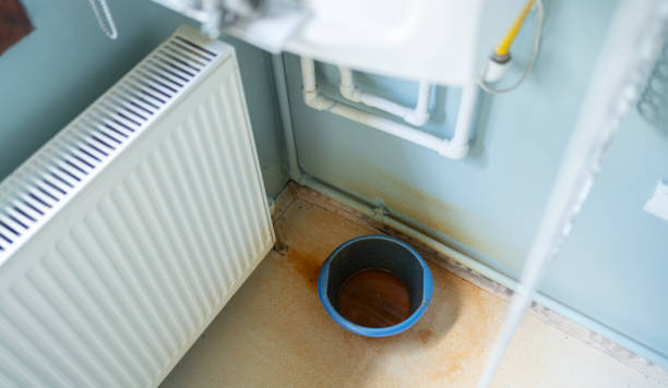 Best Basement water damage restoration  in Superior, AZ
