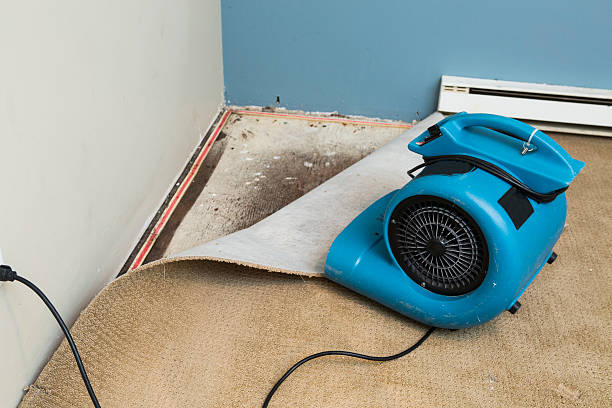Best Residential water damage restoration  in Superior, AZ