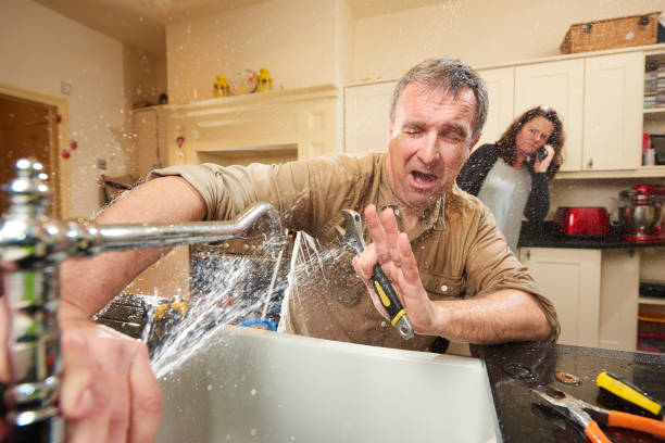 Best Mold removal after water damage  in Superior, AZ